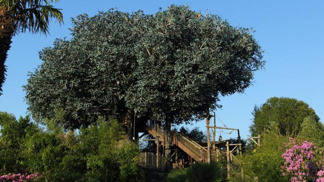 Adventure Isle mit Baumhaus in Adventureland